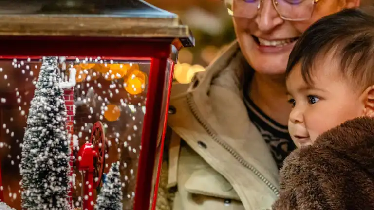 Historische binnenstad van Goes