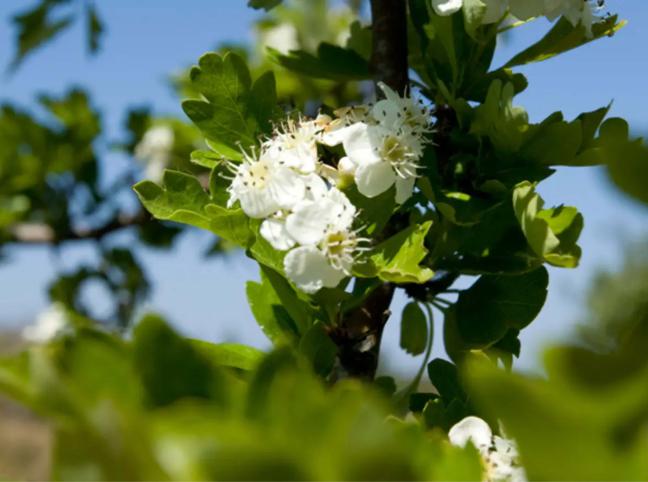 Wandelen in natuurgebied de Poel